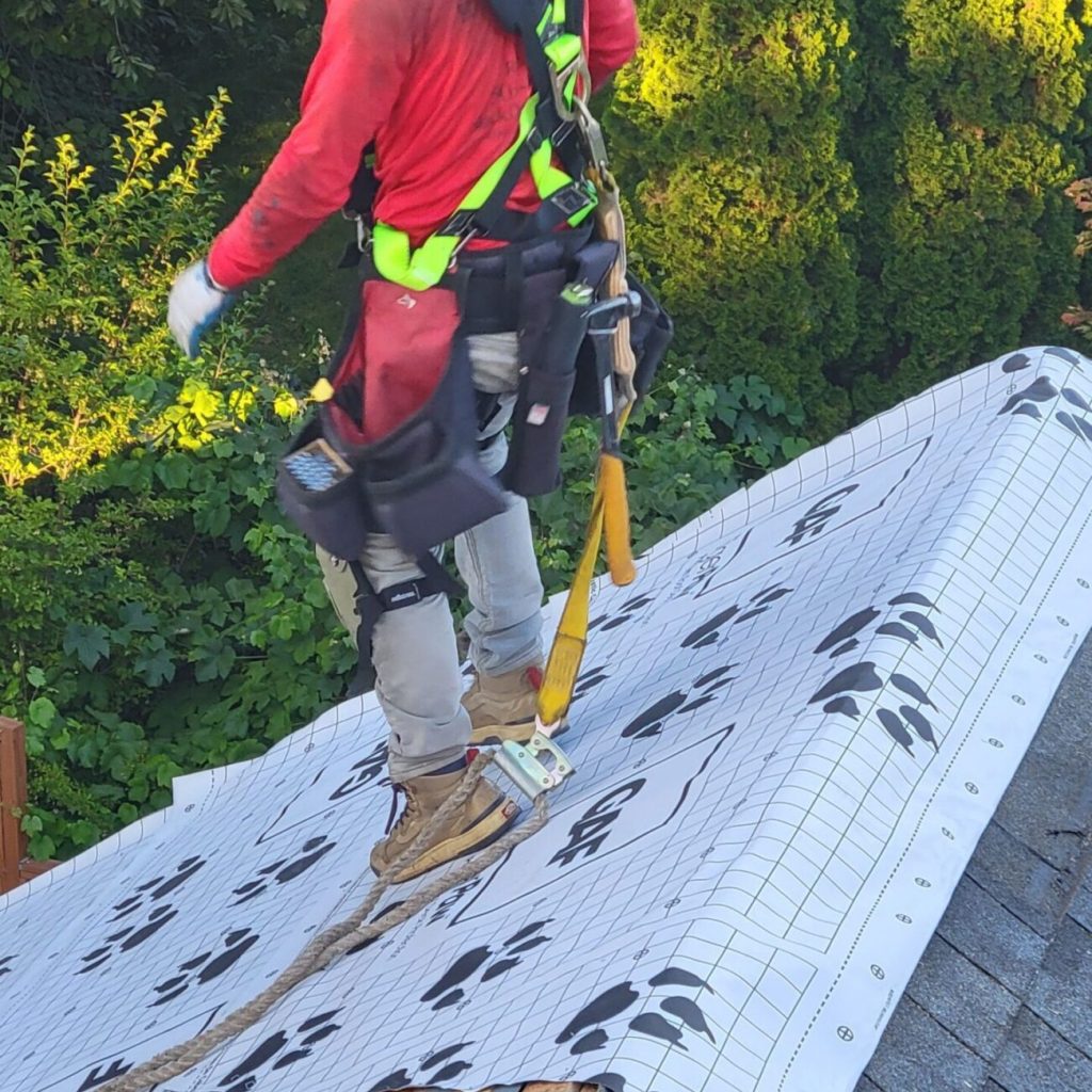 1-Jul 31 2024 07_54pm-f8Ve